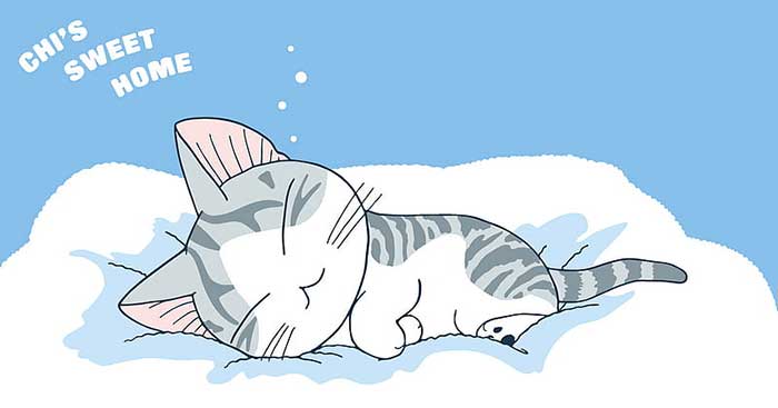 Top 14 chú mèo đáng yêu nhất đã làm mê hoặc trái tim của fan manga và anime