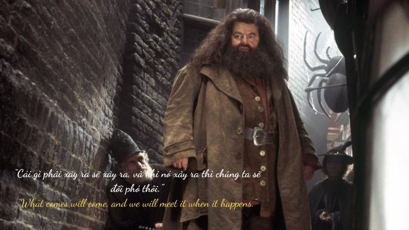 Những câu nói hay của Rubeus Hagrid  trong Harry Potter