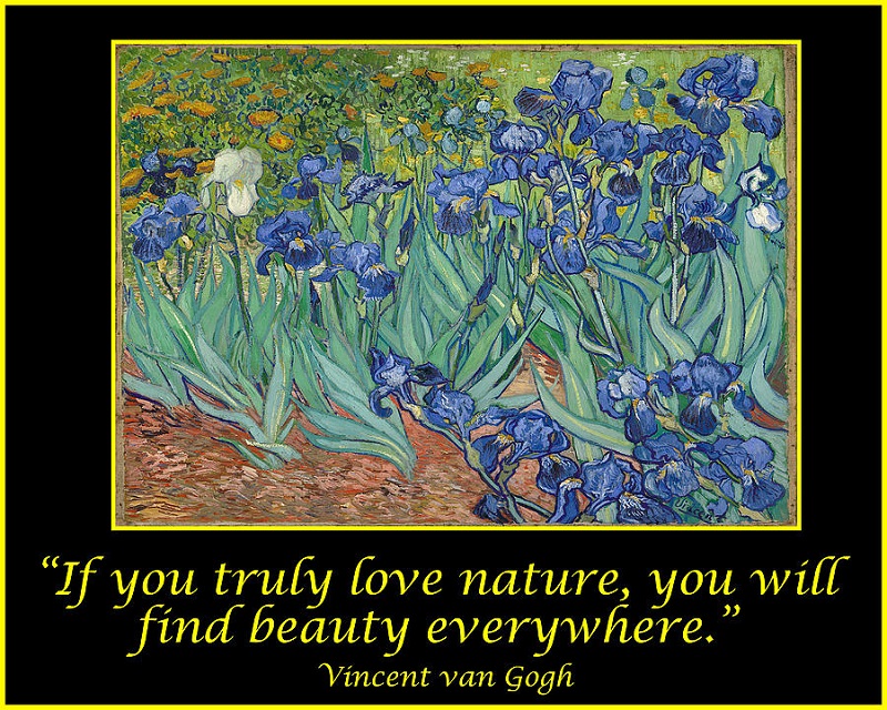 Những câu nói hay về tình yêu của Van Gogh