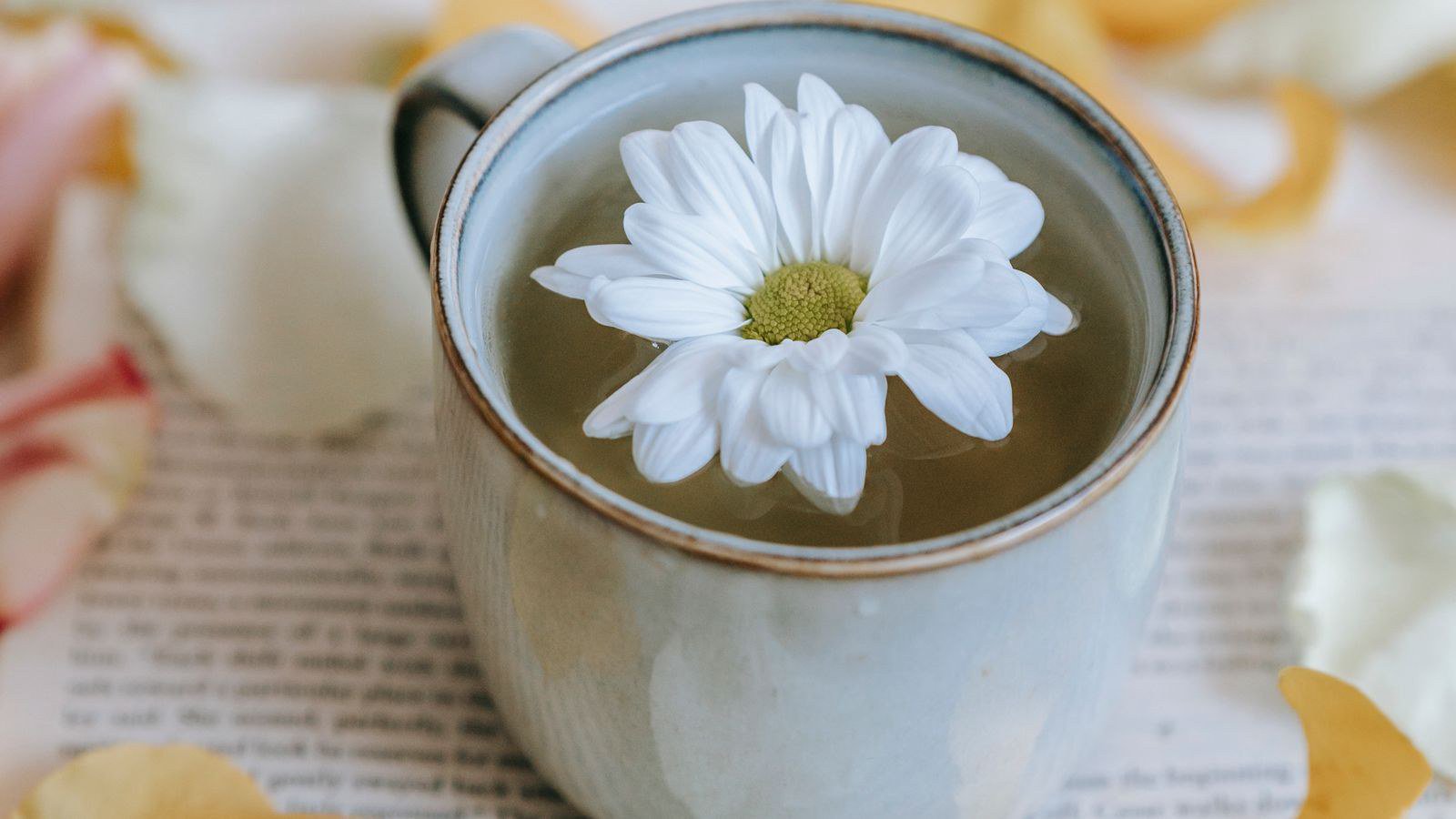Ý niệm hạt giống trong kinh doanh