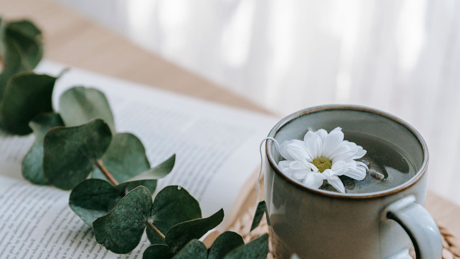 Review năng đoạn kim cương: cuốn sách thế nào